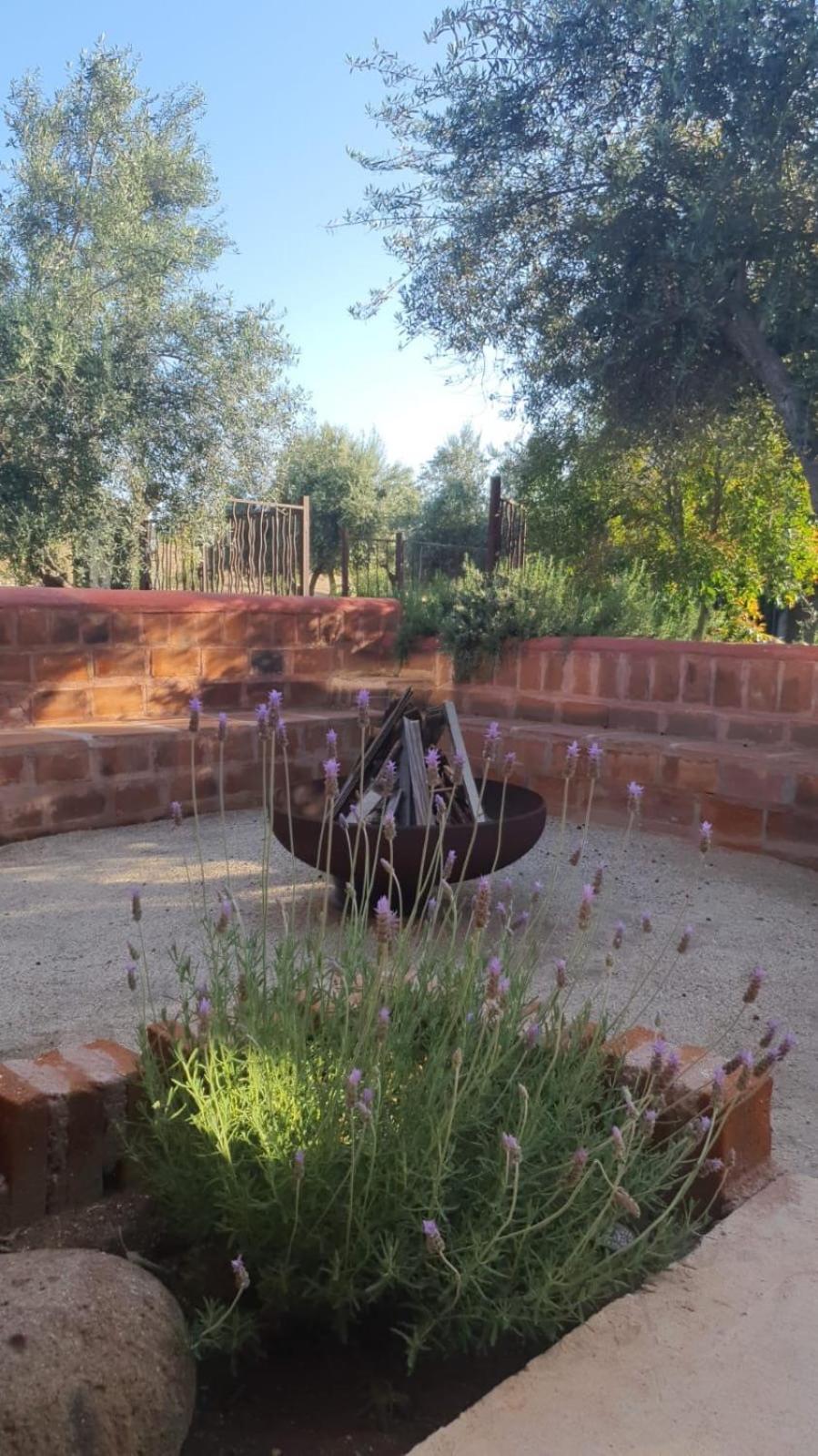 Estancia Los Amigos Valle De Guadalupe Kültér fotó