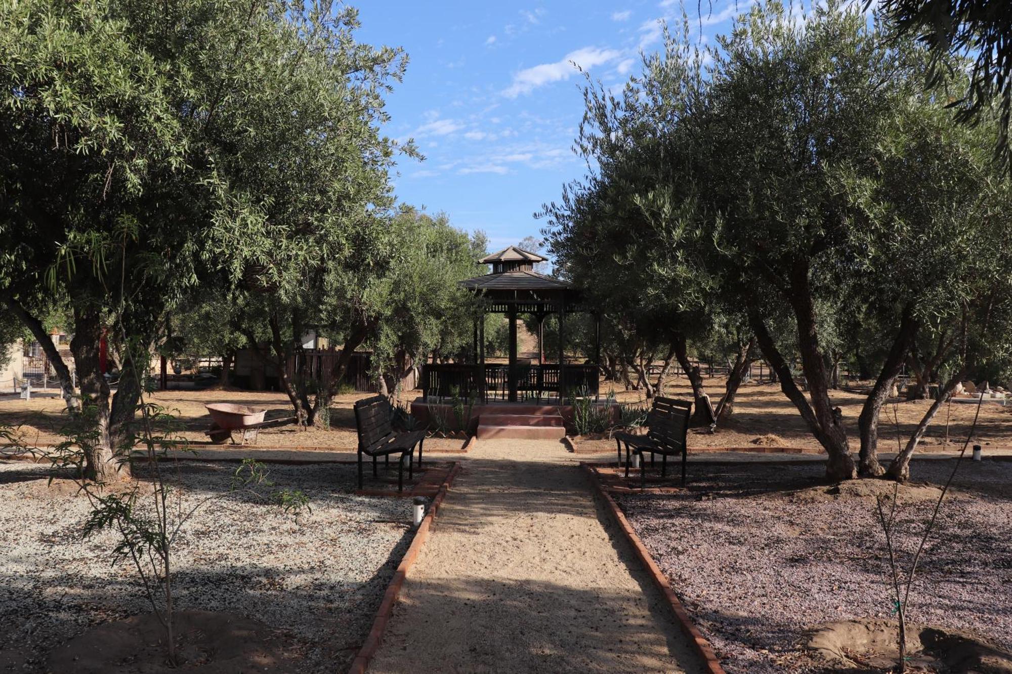 Estancia Los Amigos Valle De Guadalupe Kültér fotó